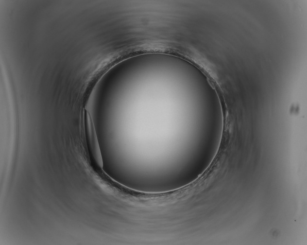 X0000091570013200708201155
