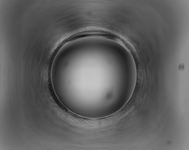 X0000091570015200708201155