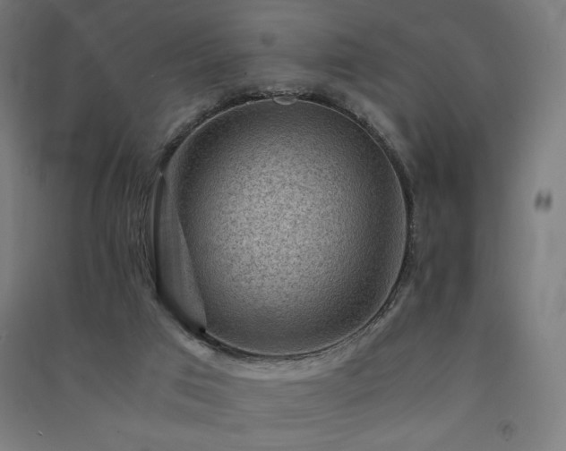 X0000091570017200708201155