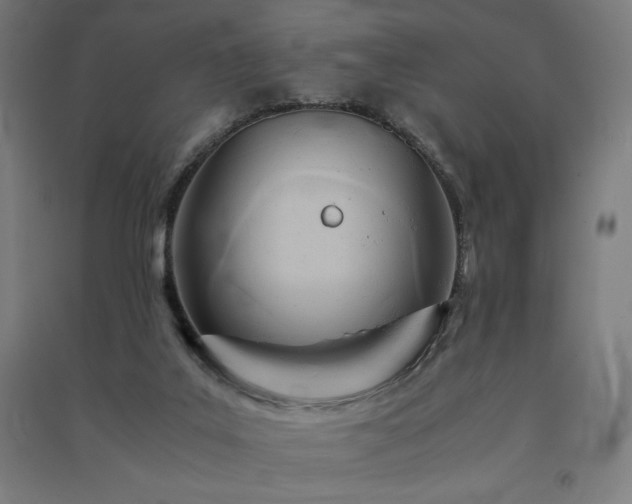 X0000091570019200708201155