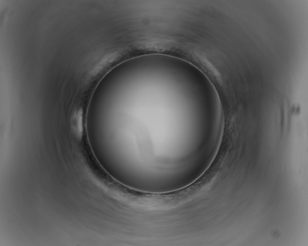 X0000091570020200708201155