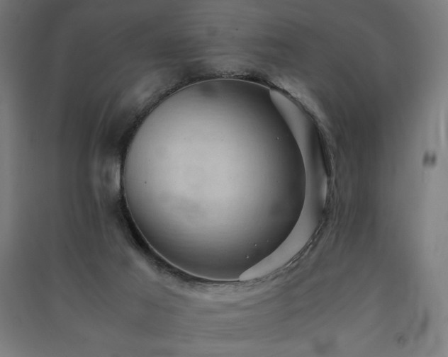 X0000091570021200708201155