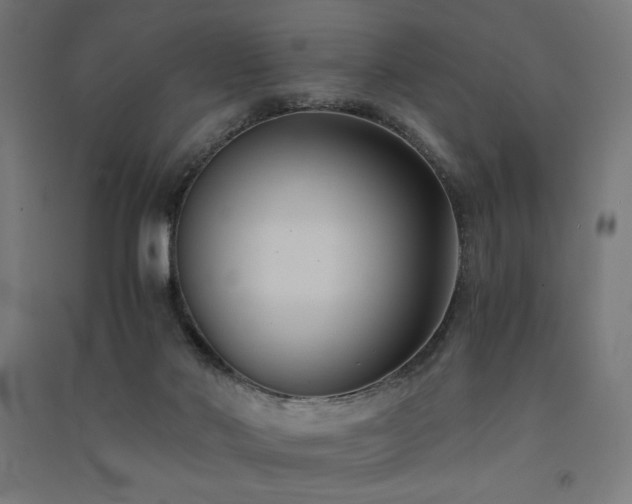 X0000091570022200708201155