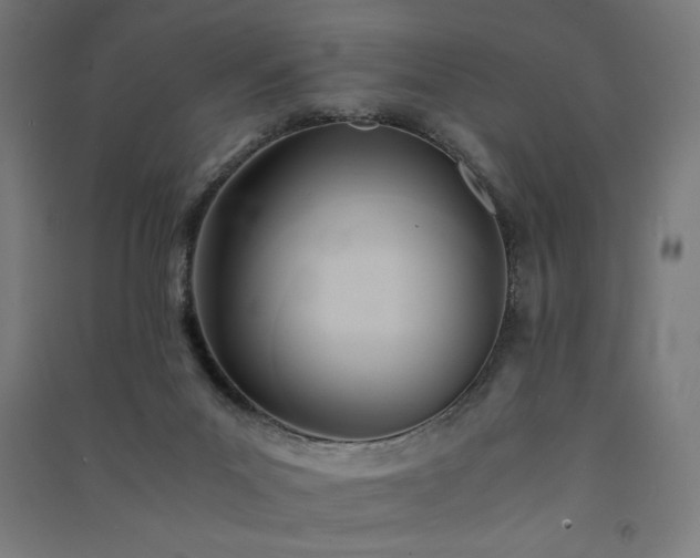 X0000091570023200708201155