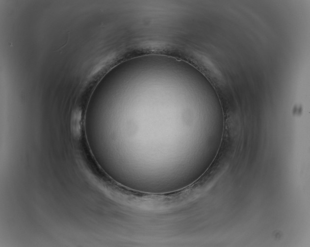 X0000091570024200708201155