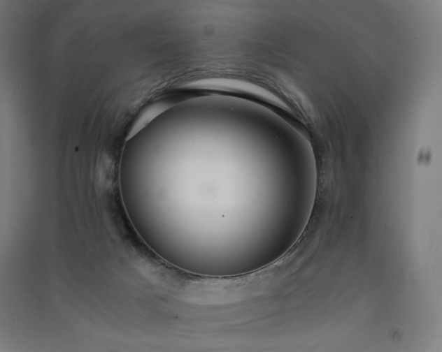 X0000091570025200708201155
