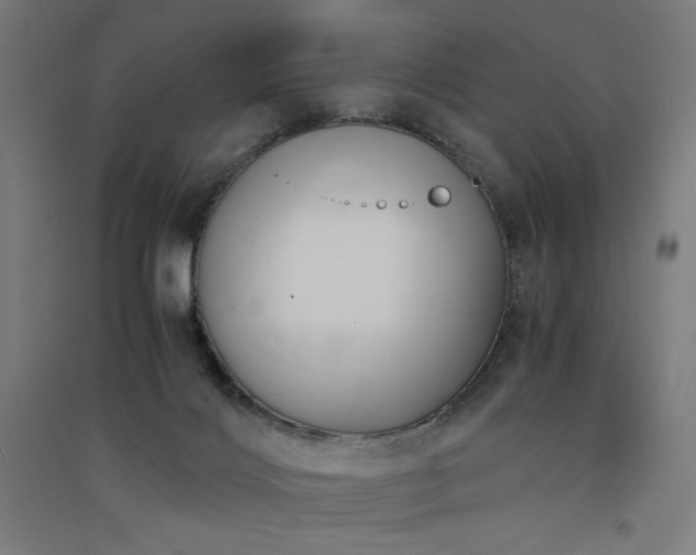 X0000091570028200708201155
