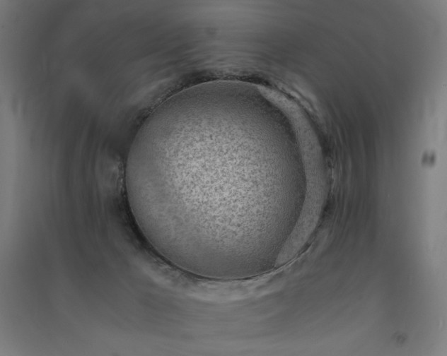 X0000091570029200708201155