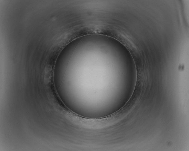 X0000091570030200708201155
