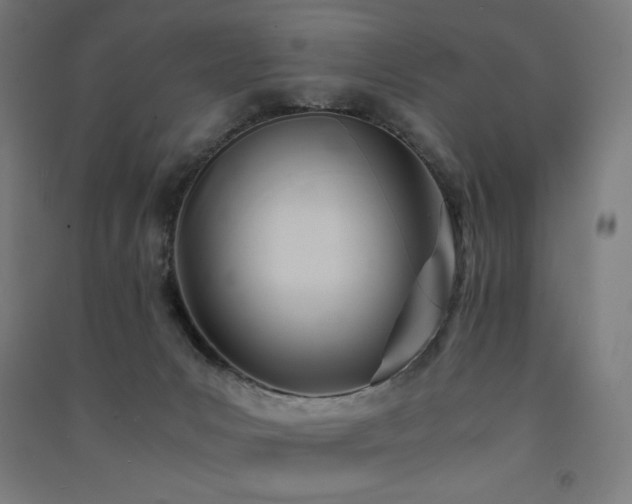 X0000091570031200708201155
