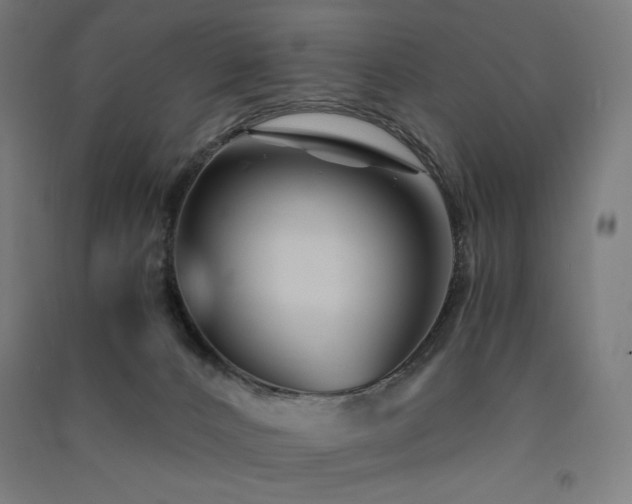 X0000091570032200708201155