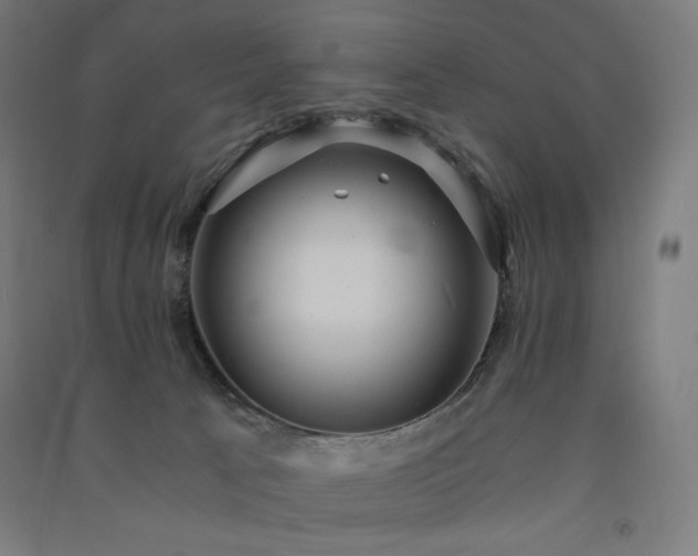 X0000091570033200708201155
