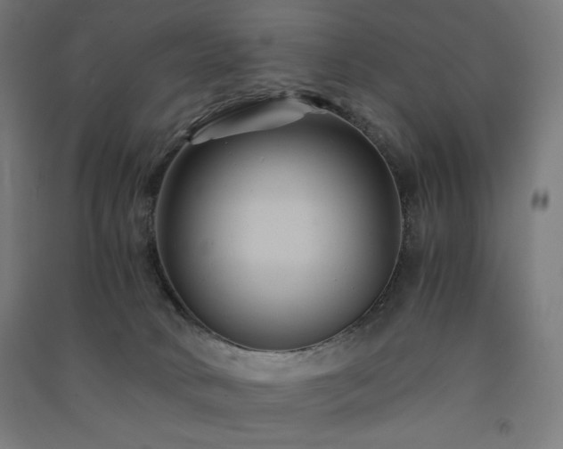 X0000091570034200708201155