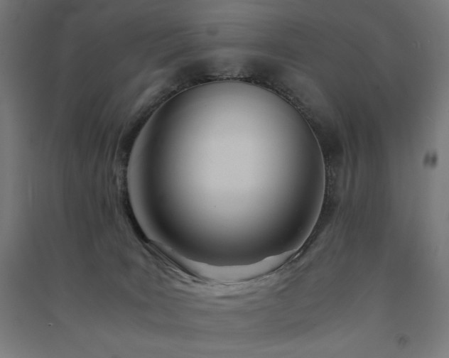 X0000091570035200708201155