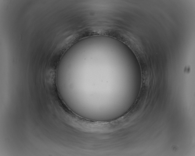 X0000091570036200708201155