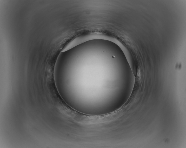 X0000091570037200708201155
