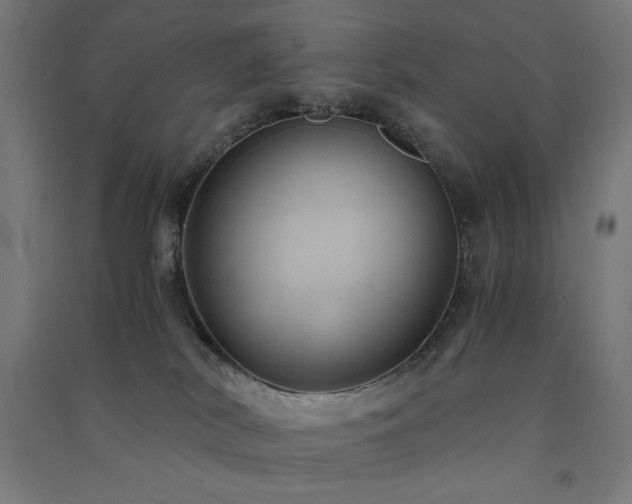 X0000091570038200708201155