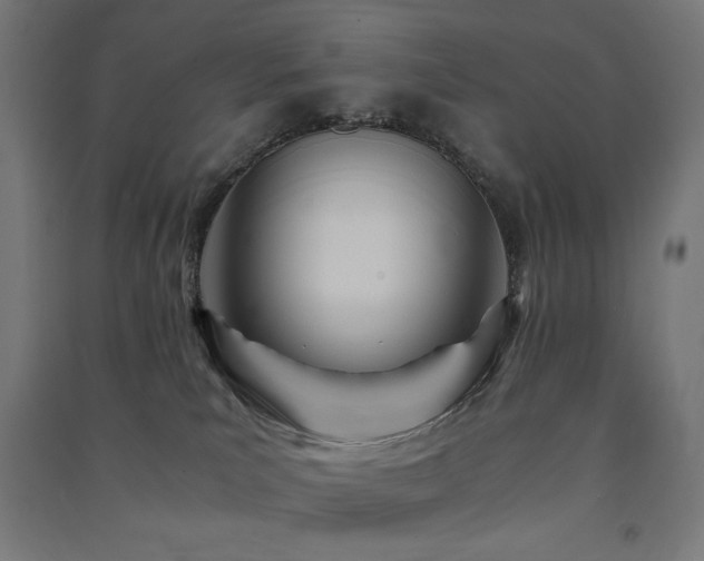 X0000091570039200708201155