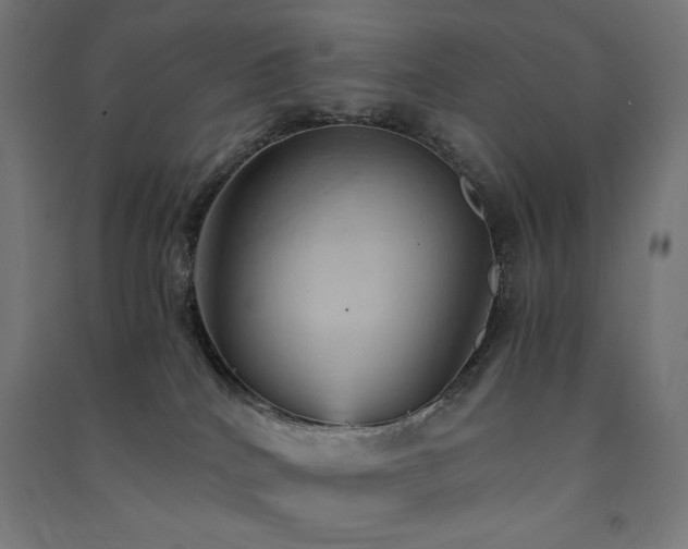 X0000091570040200708201155