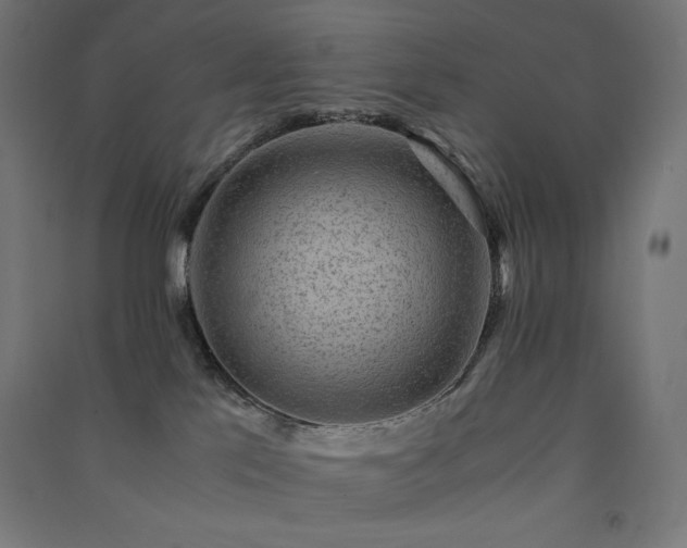 X0000091570041200708201155