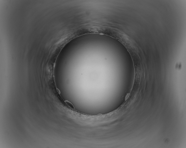 X0000091570043200708201155