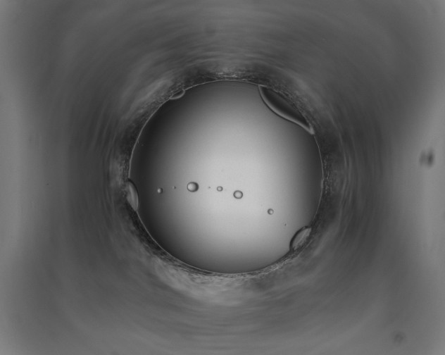 X0000091570044200708201155
