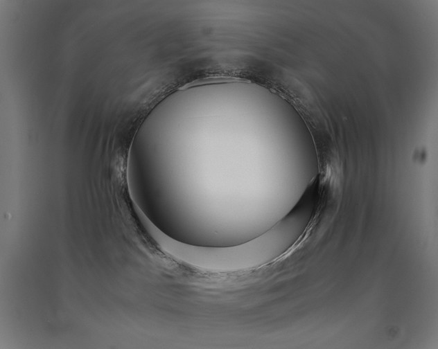 X0000091570045200708201155