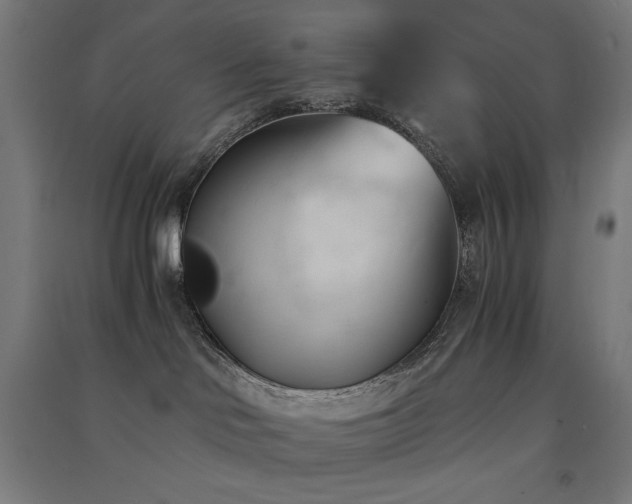 X0000091570046200708201155