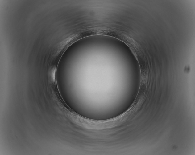 X0000091570047200708201155