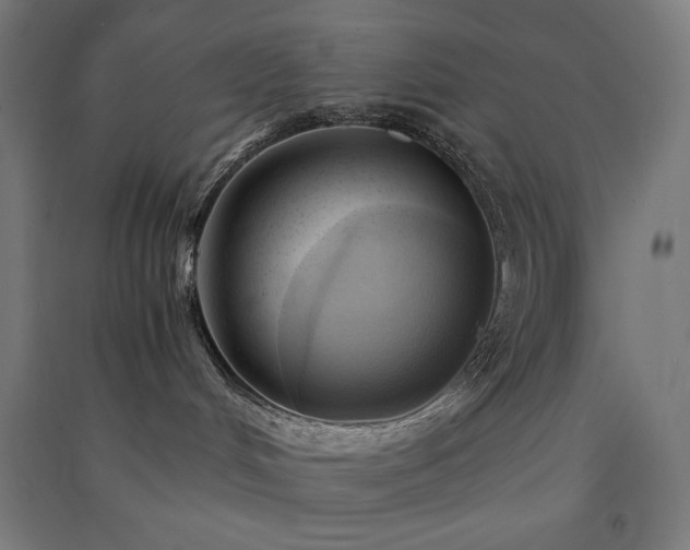 X0000091570048200708201155