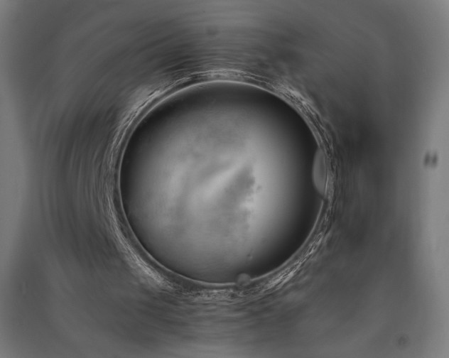 X0000091570049200708201154