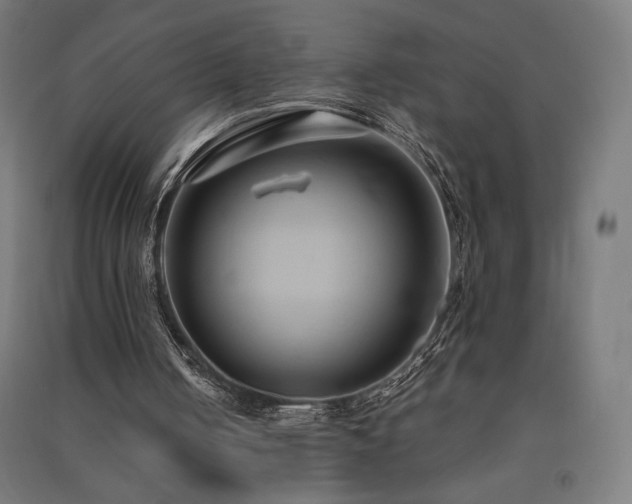 X0000091570050200708201154