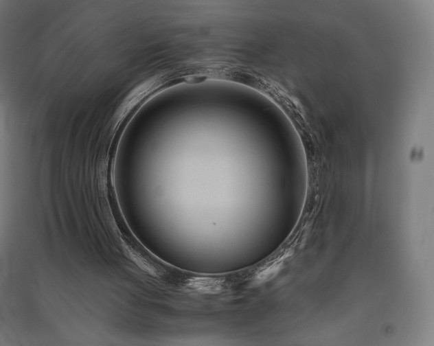 X0000091570051200708201154