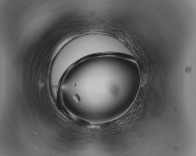 X0000091570052200708201154