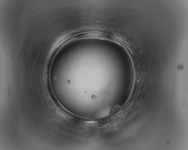 X0000091570053200708201154