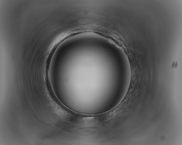 X0000091570054200708201154