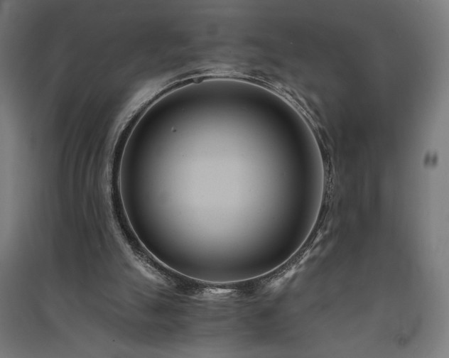 X0000091570055200708201154