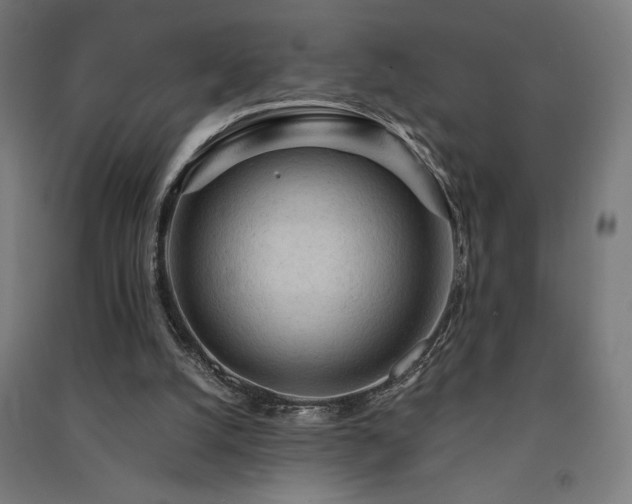 X0000091570056200708201154