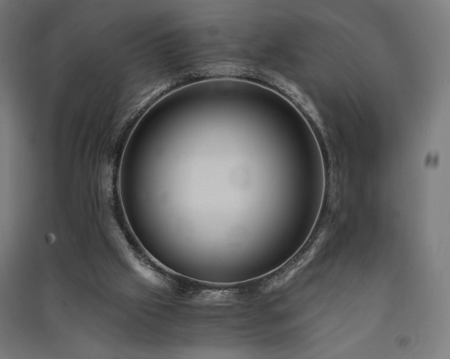 X0000091570057200708201154
