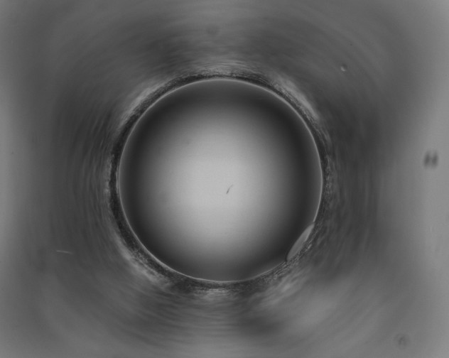 X0000091570058200708201154