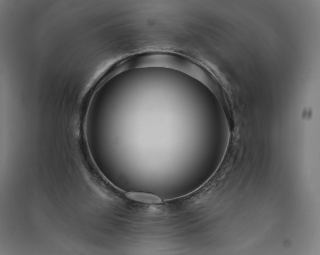 X0000091570060200708201154