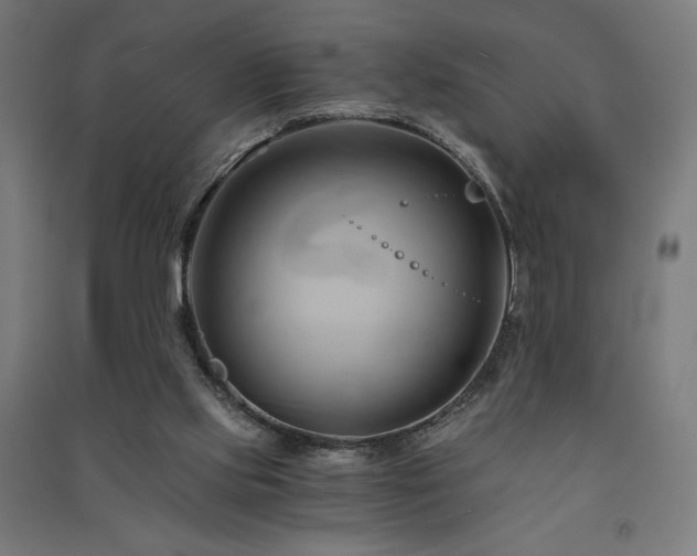 X0000091570061200708201154
