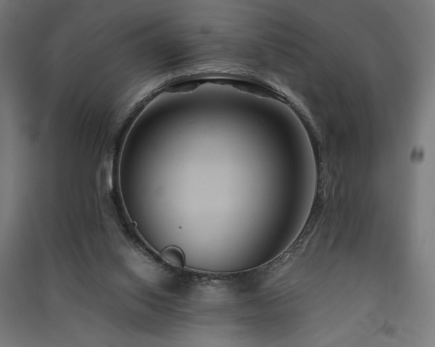 X0000091570062200708201154