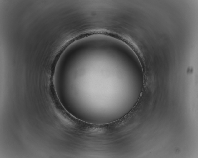 X0000091570063200708201154