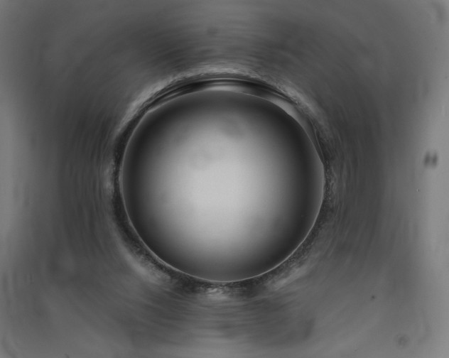 X0000091570064200708201154