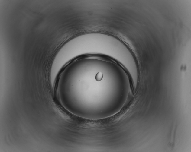 X0000091570065200708201154