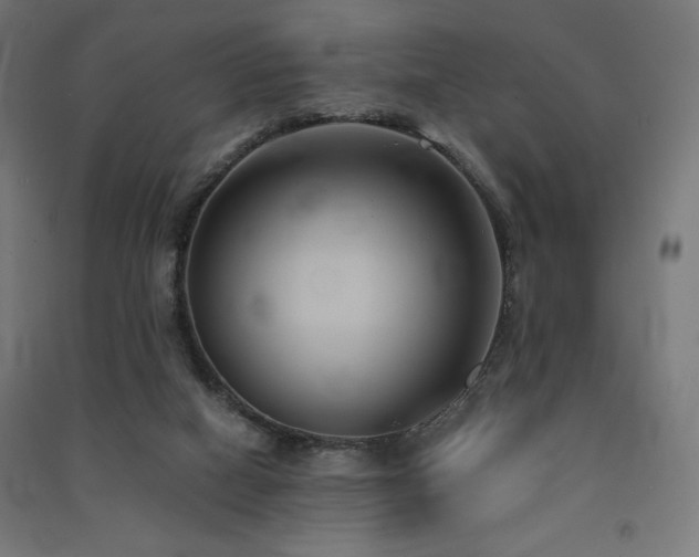 X0000091570066200708201154