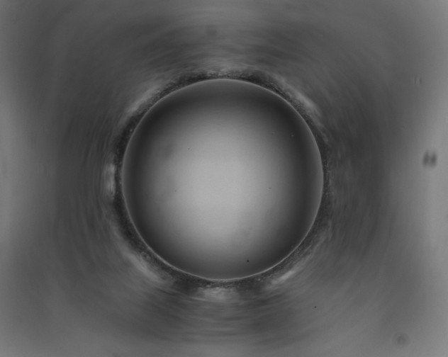 X0000091570067200708201154