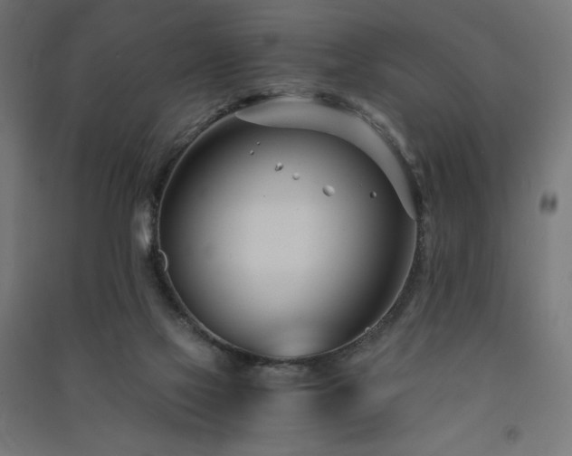 X0000091570069200708201154