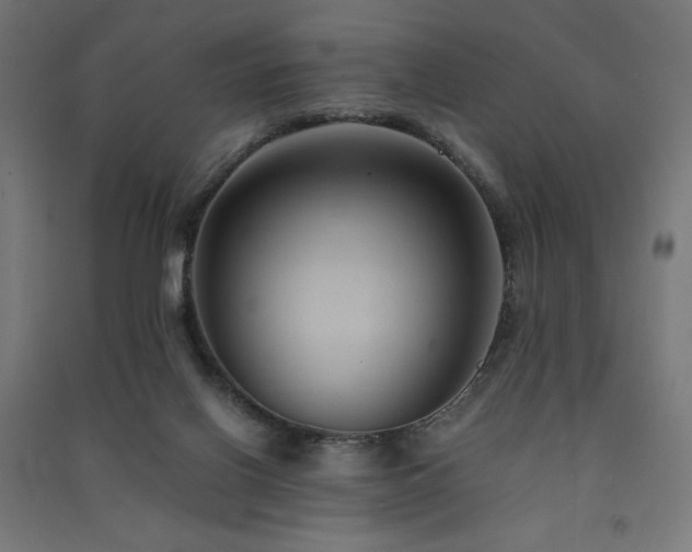 X0000091570070200708201154